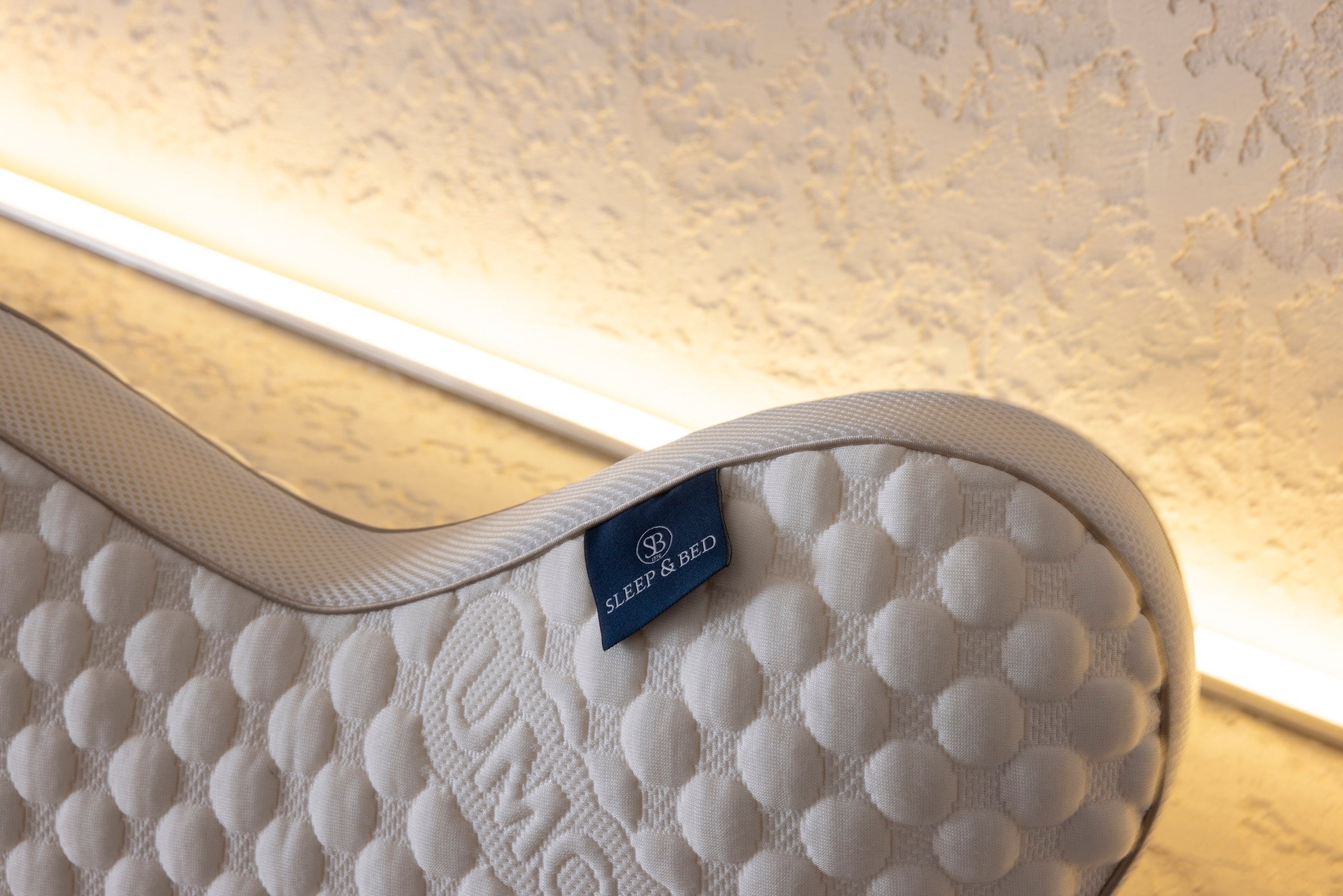 Collora Butterfly Kissen