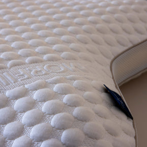 Collora Butterfly Kissen