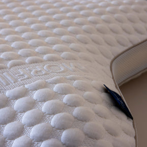 Collora Butterfly Kissen