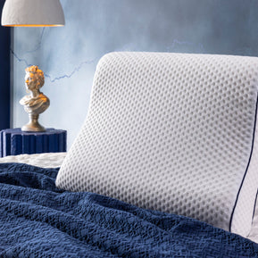 Visco Spine Kissen